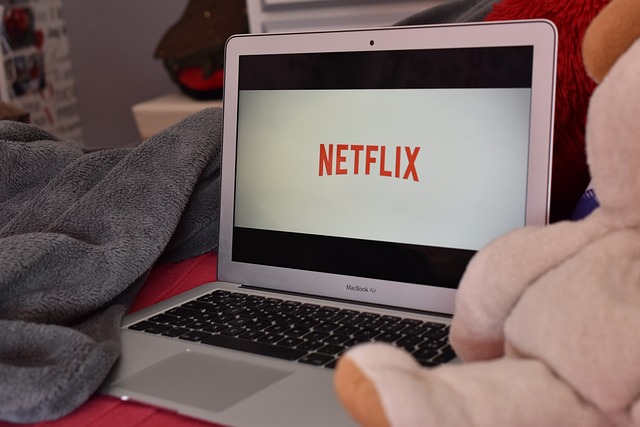 Thumbnail description followed by link description: A Macbook Pro laptop with the red netflix logo on a white screen. The laptop is sitting next to a grey towel and a pink stuffed animal.